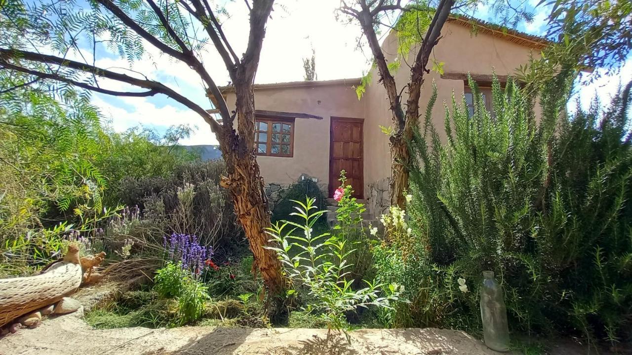 Mamaicuna Apartment *