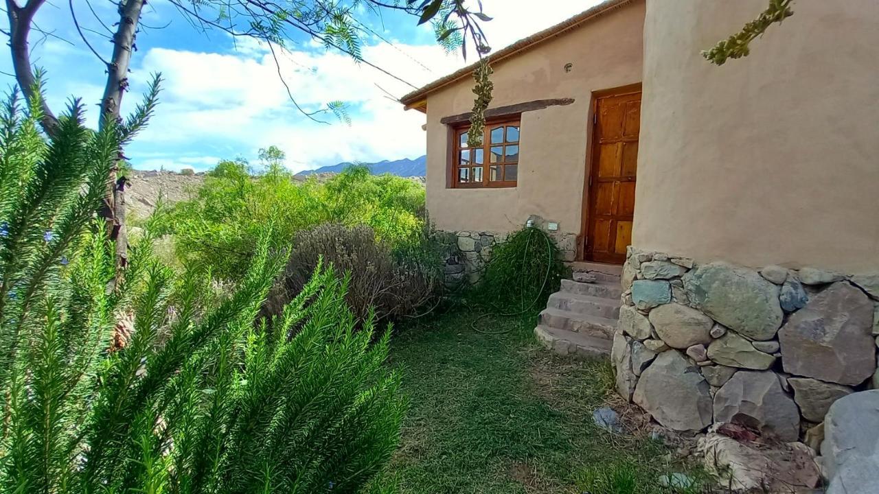 Apartment Mamaicuna